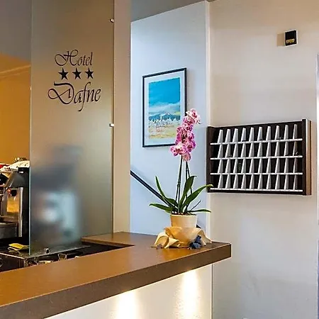 Dafne Punta Marina